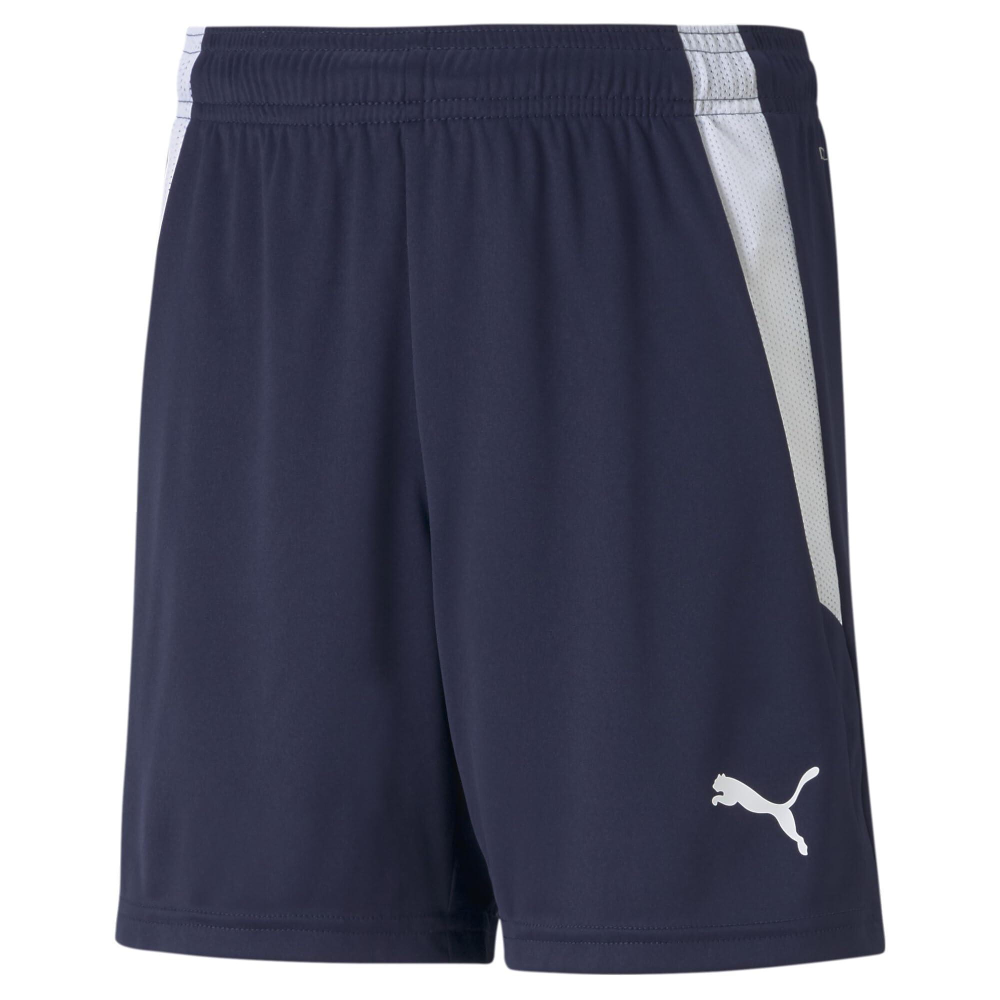 Puma - Teamliga Junior Shorts, Unisex Adult Shorts