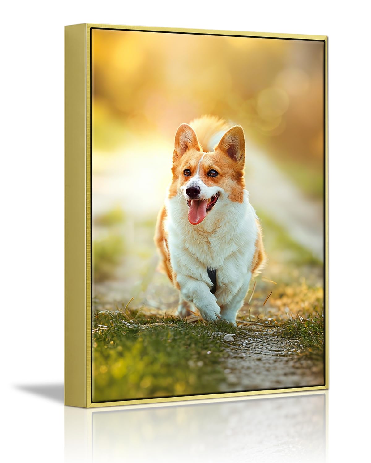 Canvas Prints with Your Photos,Ship Next Day Custom Wall Art for Home Decor