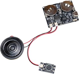 Battery Power Sound Module 8MB Recordable Sound Button USB C Port for Greetings Cards and Messages Voice Register Module