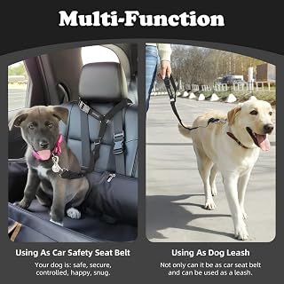 Pet Harness Adjustable Pet Safety Harness with Detachable Leash, Retractable Leash and Flower Design for Cats and Dogs in Cars (Black)