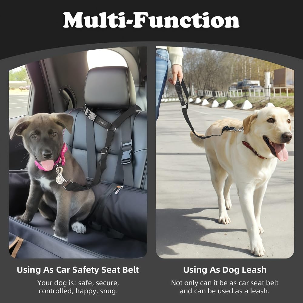 Pet Harness Adjustable Pet Safety Harness with Detachable Leash, Retractable Lea