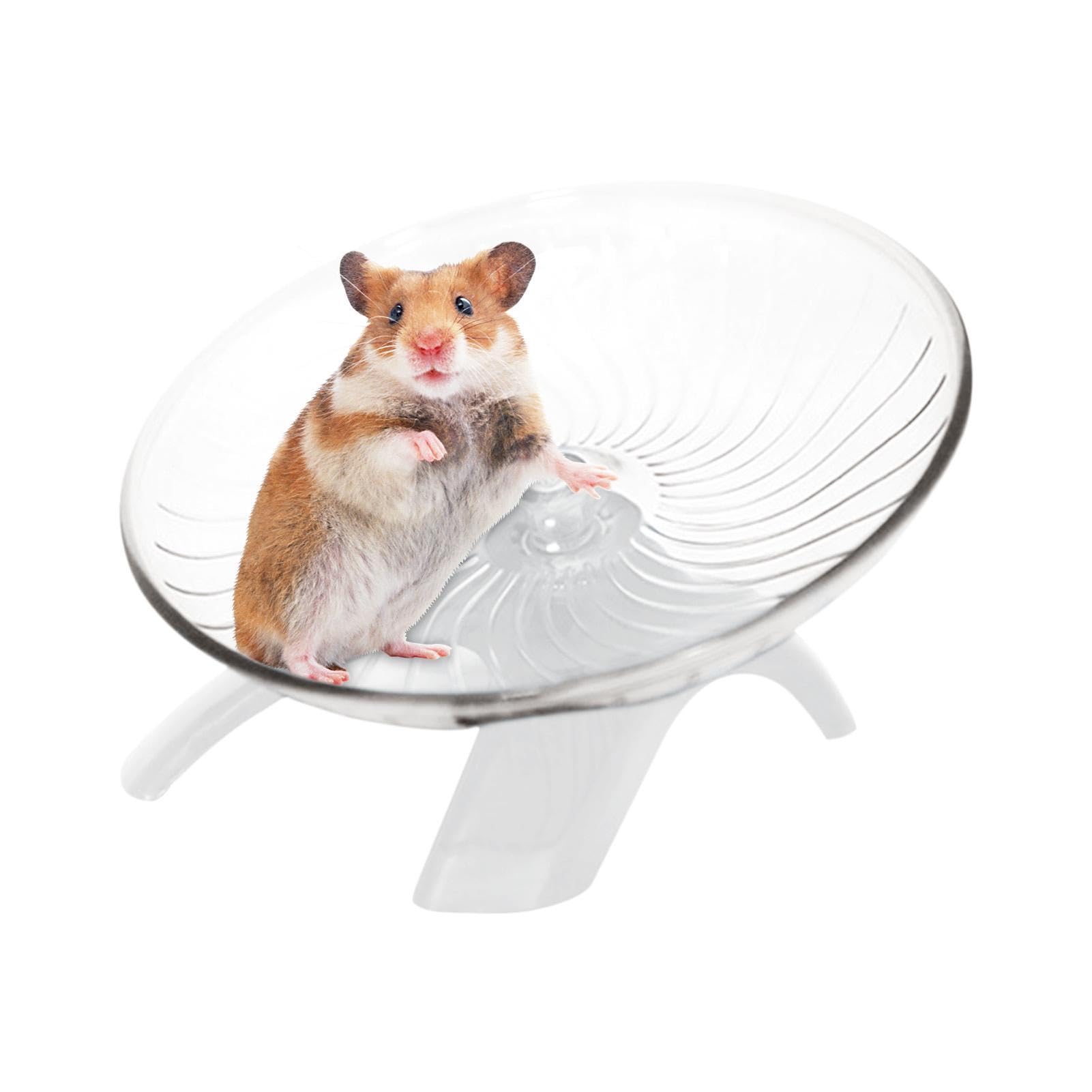 Hamster Wheel, Hermit Crab Climbing Toys Silent Exercise Running Wheel, Small An