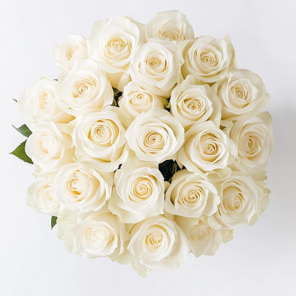 GlobalRose 100 White Roses Bouquet - Responsibly Sourced Roses Fresh Flowers - H