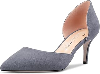 Castamere Women's Stiletto Mid Heel Pointed Toe Pumps Two-Piece Slip-on Office Classic 6 cm Heels
