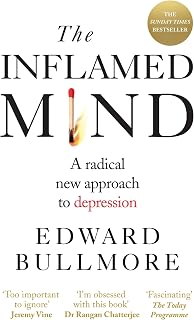 The Inflamed Mind: A radical new approach to depression