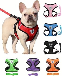 Small Cat Dog Harness - All Weather Mesh, Reflective, 4' Traction Rope, No Pull Harness for Small Dogs and Cats - Hook & Loop Fasteners, Buckle, Double D-Rings, Small, Red