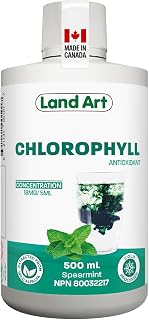 Chlorophyll, Cold-Extracted, Wild Alfalfa, Body Odor, Mint, 500 ml