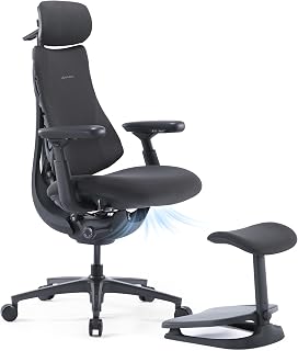 LiberNovo Omni PRO Dynamic Ergonomic Office Chair, Built-in Fan, 48cm