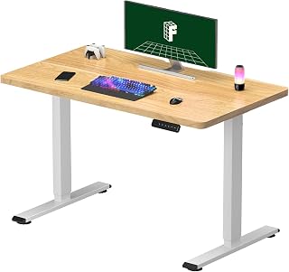 FLEXISPOT ONE PIECE Electric Standing Desk Adjustable Height with Smart Memory Panel for Home Office 100x60cm Maple