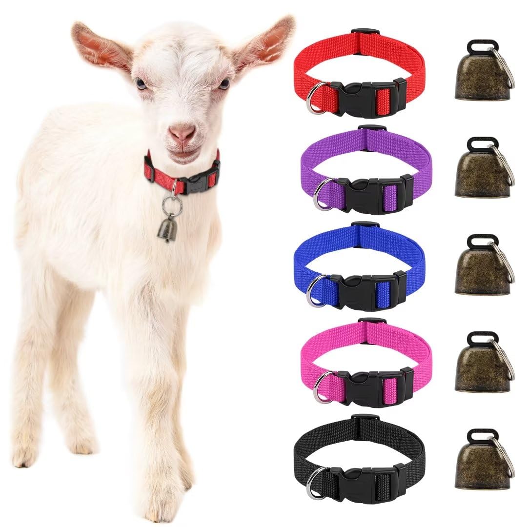 GINDOOR 5 Pack Classic Goat Collars with Bells, Anti-Lost Pet Collar | Adjustabl