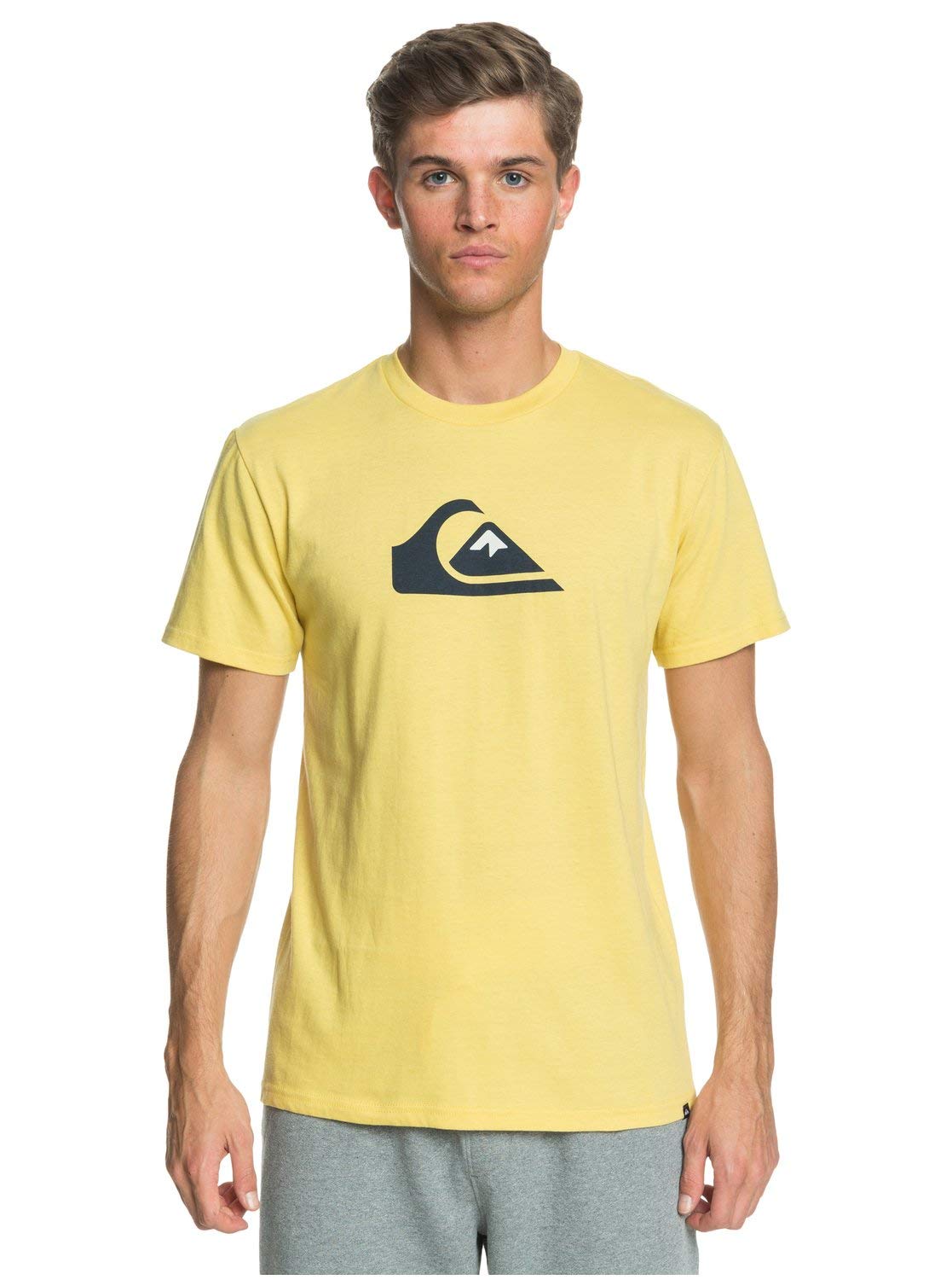 Quiksilver Comp Logo Men's Short Sleeve T-Shirt