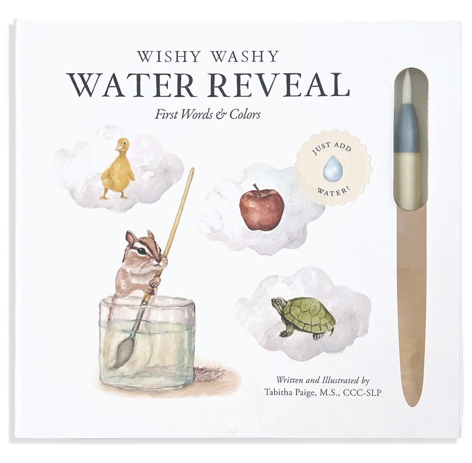 Wishy Washy (Water Reveal Edition): A Reusable Water Reveal Activity Book Teachi