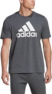 Adidas Men's Essentials Big Logo Single Jersey Tee