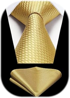 HISDERN Men's Ties Solid Colour Elegant Business Tie Wedding and Handkerchief Set Ties Classic Plaid Party
