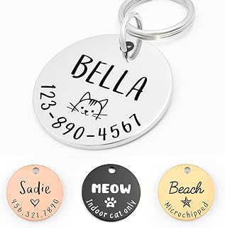 Personalized Lovely Symbols Dog Tags and Cat Tags Custom Engraved Stainless Steel Pet ID Tag (Silver, X-Small)