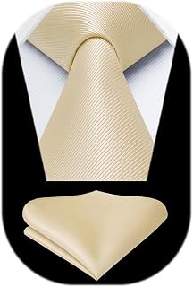 HISDERN Mens Ties Solid Color Ties for Men Formal Necktie with Pocket Square Set Satin Silk Neck Tie Handkerchiefs Set