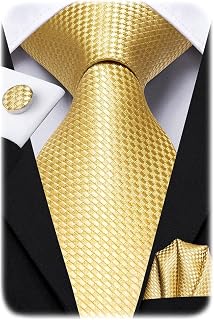 Hi-Tie Men Ties Sets Silk Stripe Paisley Necktie Pocket Square Cufflinks for Business Wedding