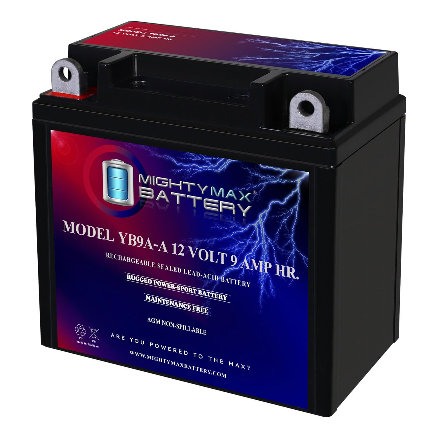 Mighty Max Battery YB9A-A -12 Volt 9 AH, 130 CCA, Rechargeable Maintenance Free 