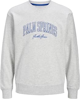 Jack & Jones Men's Jjdetroit Sweat Crew Neck Jjdetroit Sweat Crew Neck (Pack of 1)