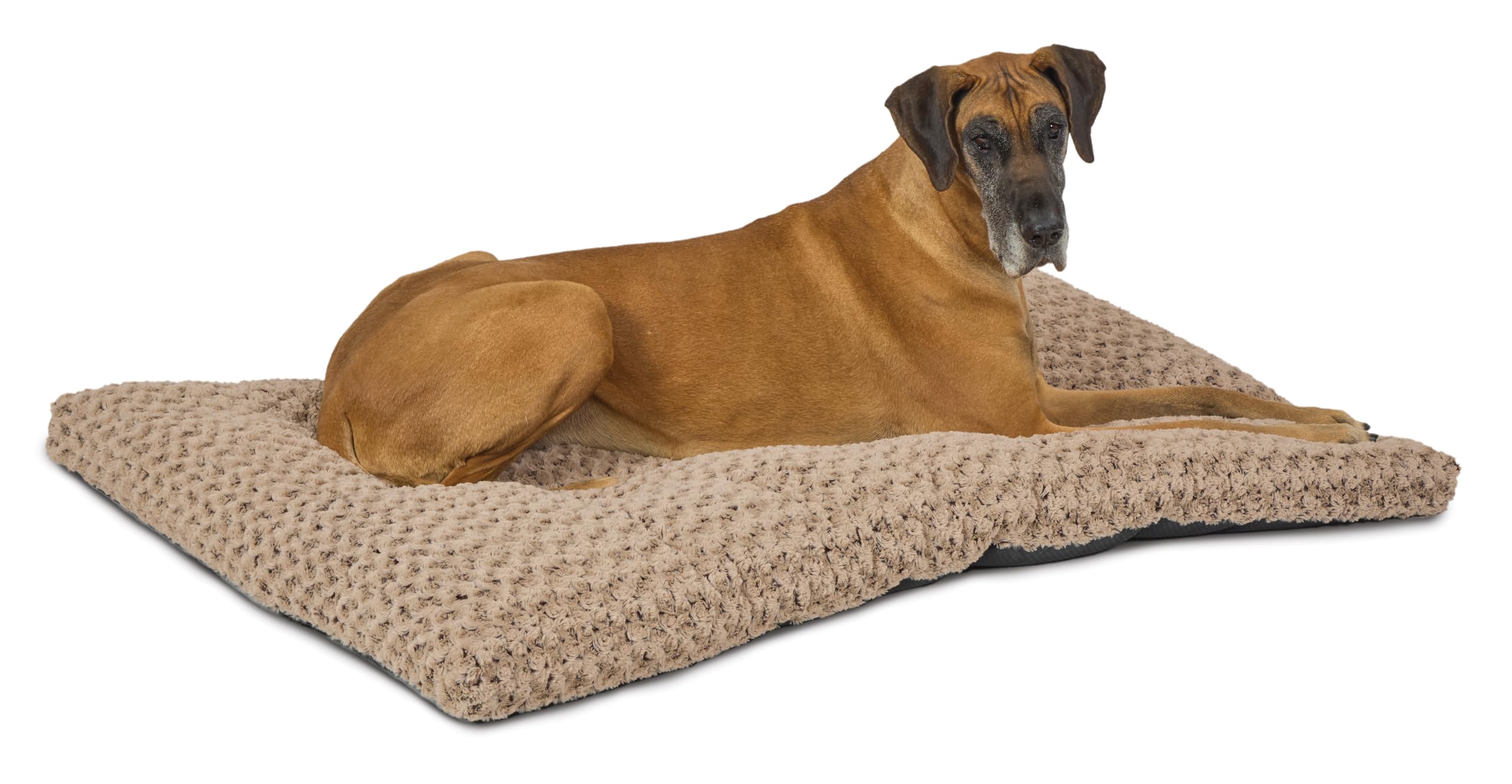 MidWest Homes for Pets Plush Ombre Swirl Dog Bed; Mocha 53.15L x 34.84W x 3.94H 