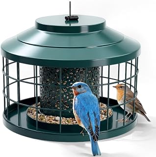 Outdoor Hanging Metal Bird Feeder, Squirrel & Pigeon Proof, Weather Resistant Feeder For Small Wild Birds, Suitable for Garden Decoration