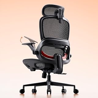 SIHOO B100 Office Chair Mesh Adjustable Lumbar Support, 136 kg, Black