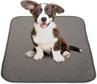 INULABO Washable Pet Sheet M Urine Mat Pet Mat Fully Washable Reusable for Repeated Use [High Durability Used Even in Professional Settings] (M (2-piece set), Gray)