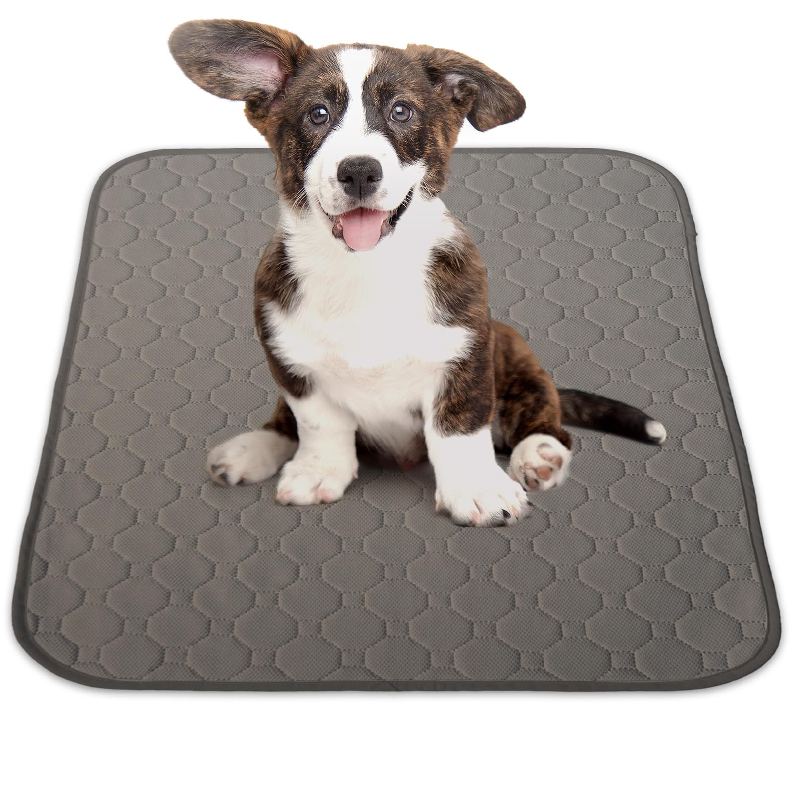 INULABO Washable Pet Sheet M Urine Mat Pet Mat Fully Washable Reusable for Repea