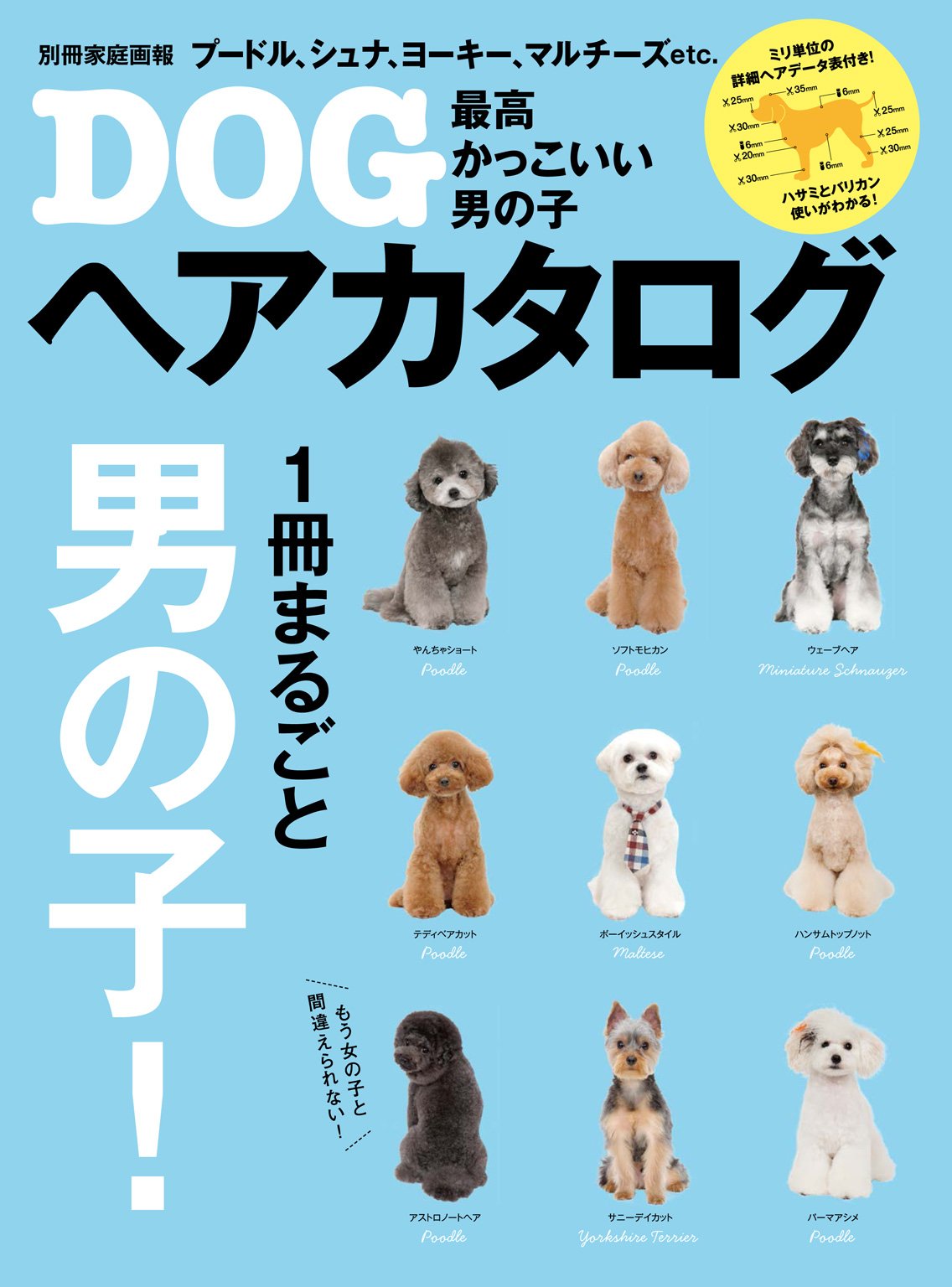 最高かっこいい男の子DOGヘアカタログ 別冊家庭画報