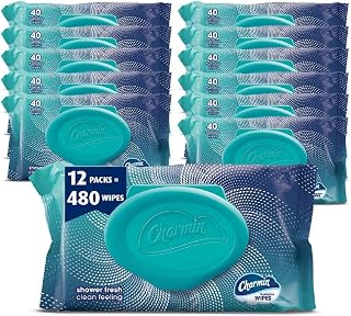 Charmin Flushable Wipes, 480 Total Wipes (12 Packs of 40)