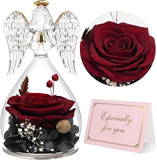 Yamonic Preserved Real Rose Gifts for Women, Eternal Rose in Glass Angel