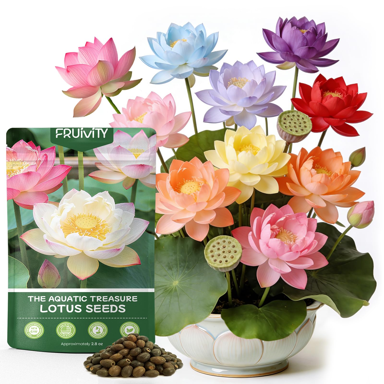Fruivity Lotus Seeds for Planting in Water | 60 PCS Mixed Color Bowl Lotus Seeds