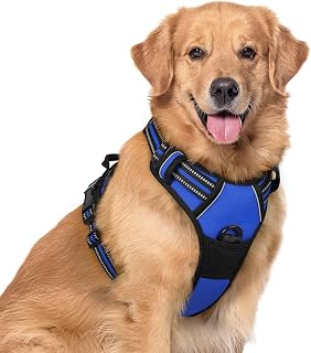 rabbitgoo Dog Harness, No Pull for Large Dogs with 2 Leash Clips, Pet Vest