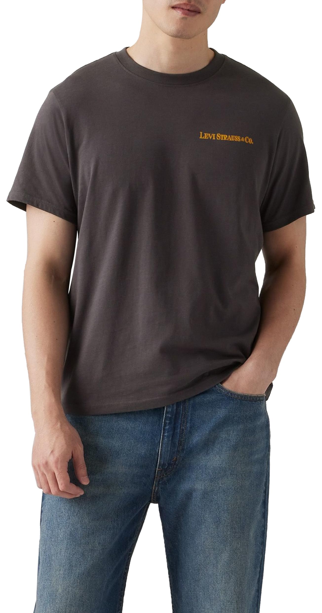 Levi's SS Relaxed Fit Tee Men's T-Shirt, Logo Poster
