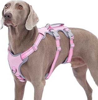 Huntboo Escape Proof Dog Harness, No Pull Reflective Harness with Lift Handle, Adjustable Pet Vest with Front and Back Leash Clips for Small Medium Large Dogs Walking Hiking Training (Pink,XL)