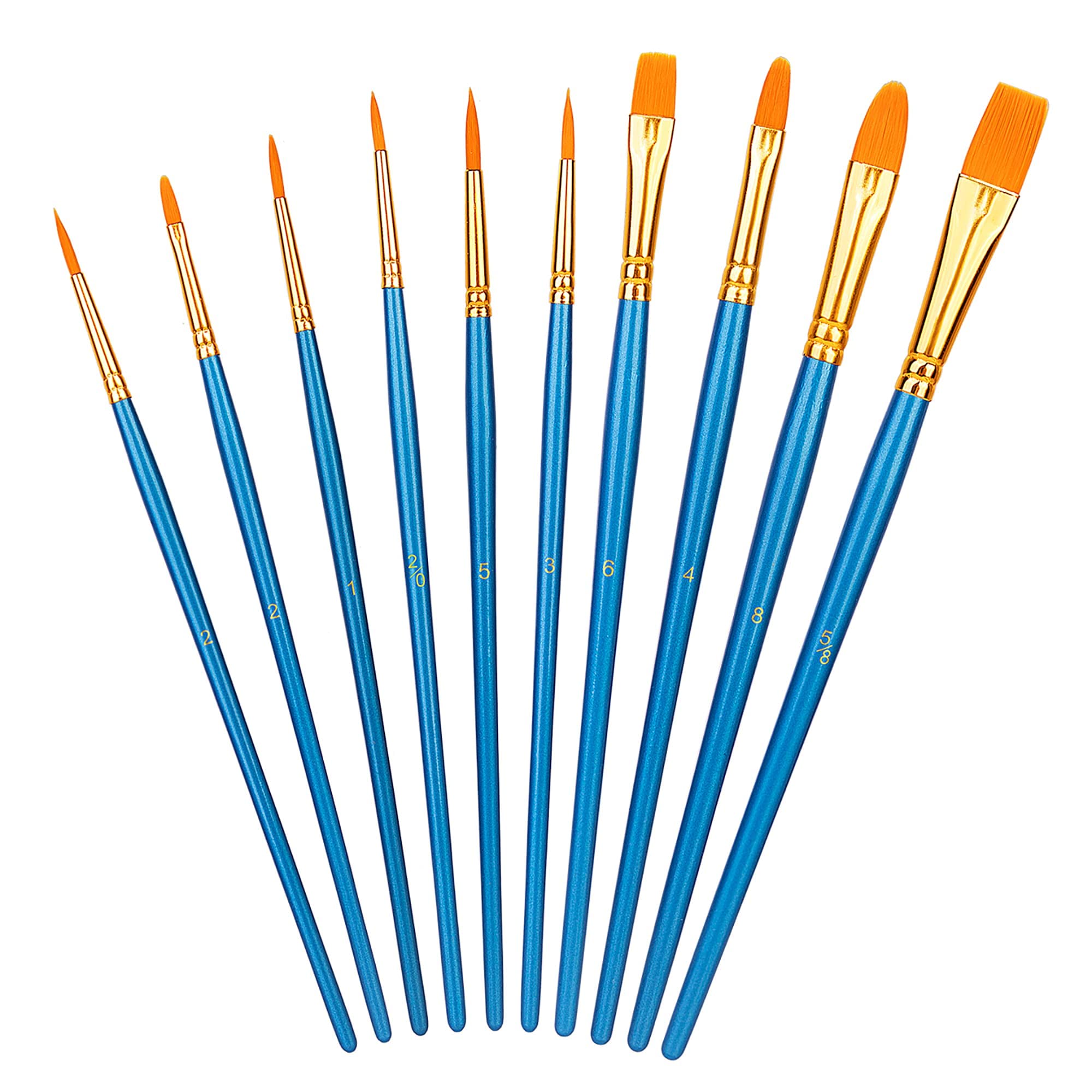 Amazon Basics Paint Brush Set, PBT Paint Brushes with Wood Handle, 10-Piece Set 