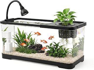 Luckywang AS Fish Tank Aquarium with LED & 3-in-1 Pump for Betta, 6 Gal | Aquarium Starter Kit with 2 interchangeable lids, soft lighting, quiet filtration and easy care for betta, goldfish & shrimp