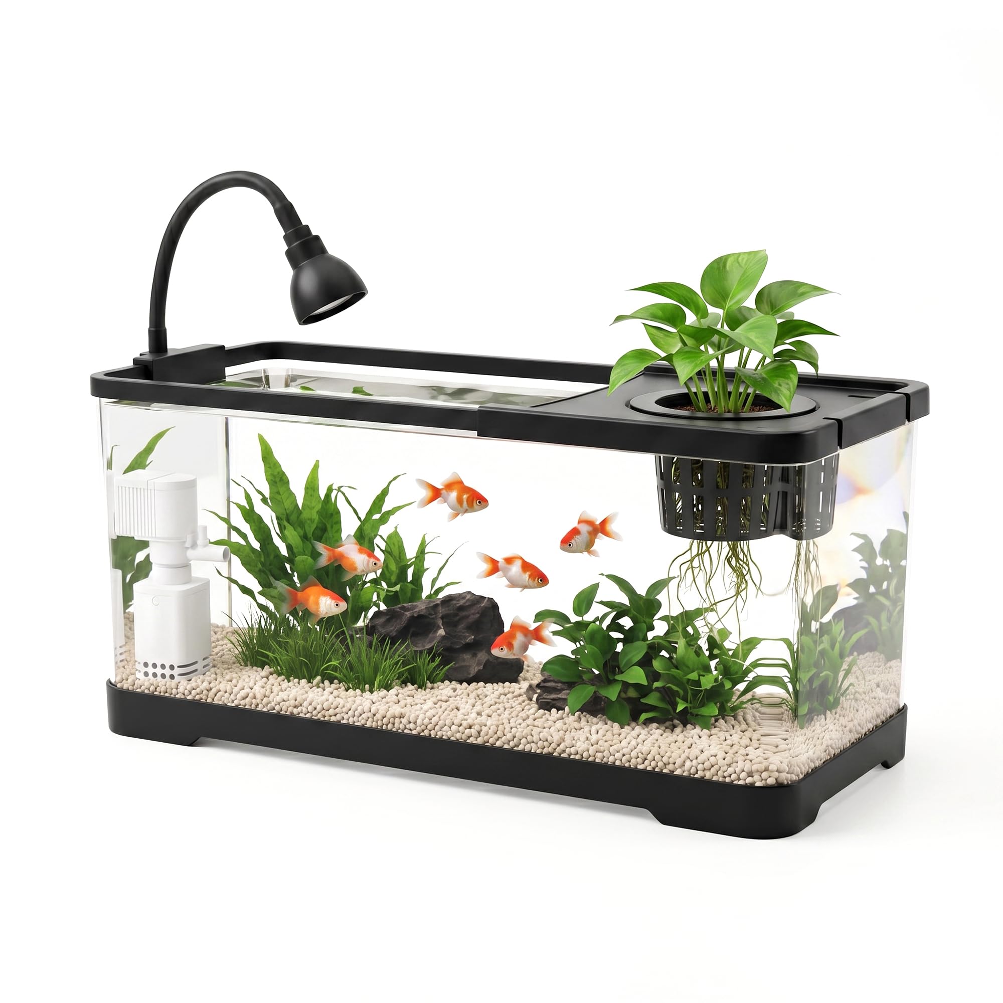 Luckywang AS Fish Tank Aquarium with LED & 3-in-1 Pump for Betta, 6 Gal | Aquari