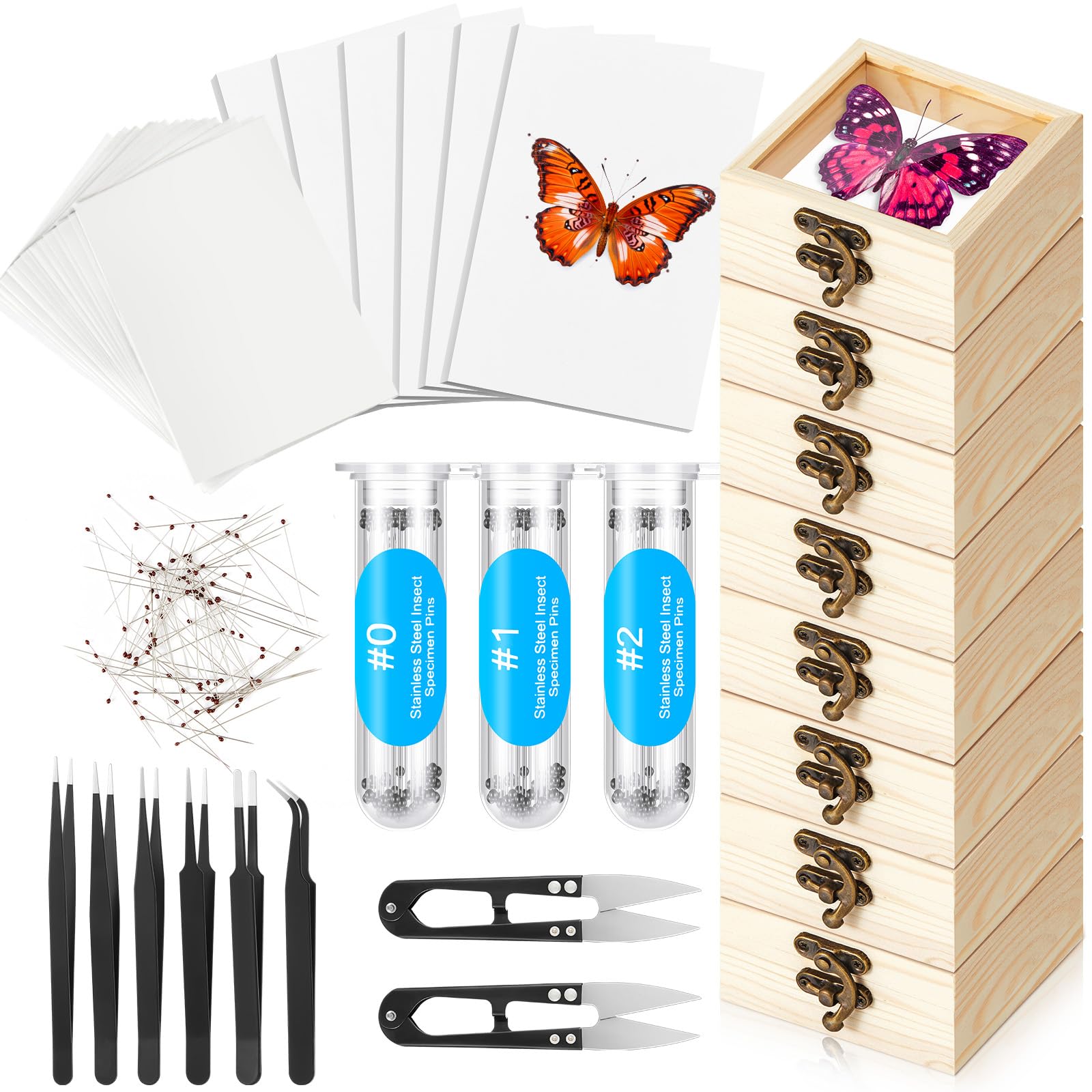Spiareal 55 Pcs Insect Specimen Tools Kit Include 3.54 x 3.54 x 1.77 in 8 Pcs Di