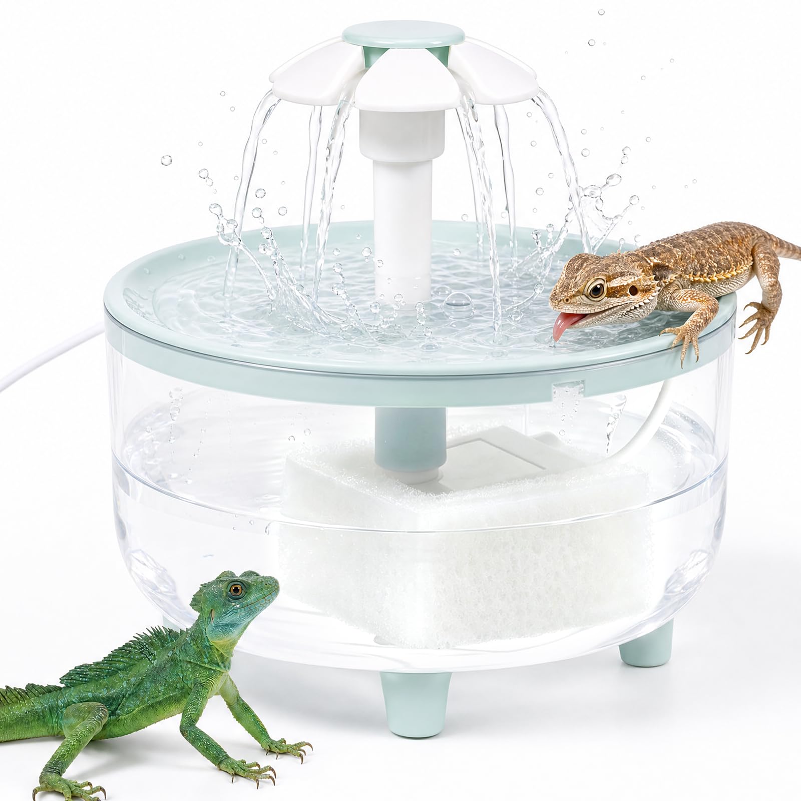 Reptile Water Dispenser with Filtration System,Reptile Water Fountain | Detachab