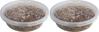 Livefood UK Live Mealworms Regular size Letterbox pack (2 x 30g) will fit through standard letterbox