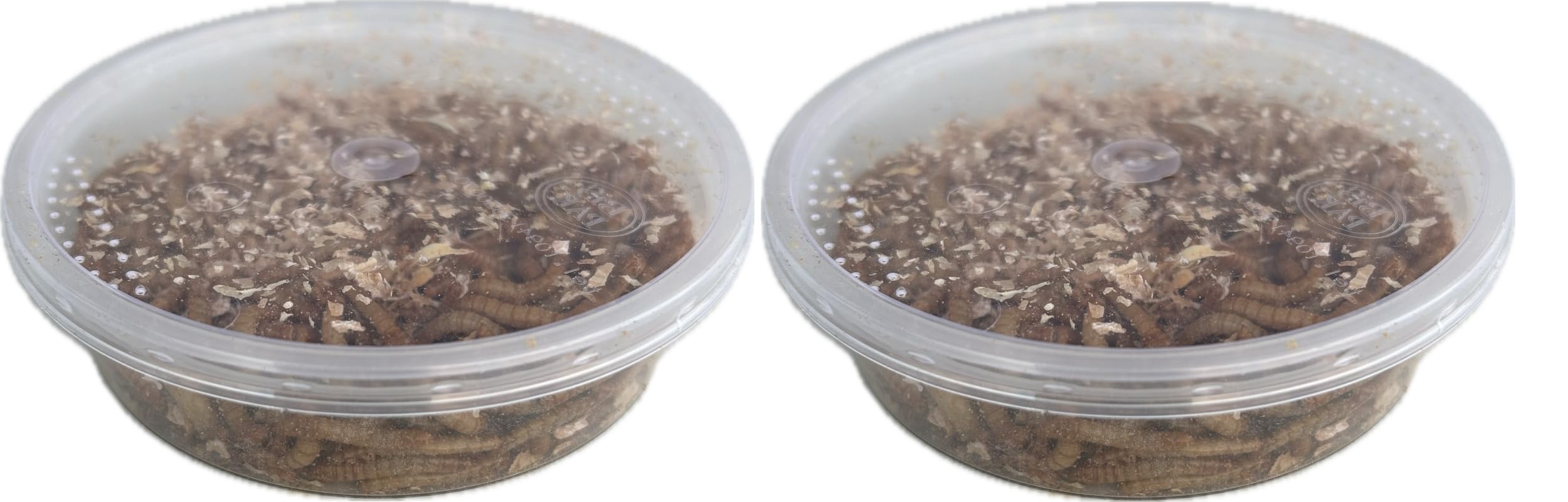 Livefood UK Live Mealworms Regular size Letterbox pack (2 x 30g) will fit throug