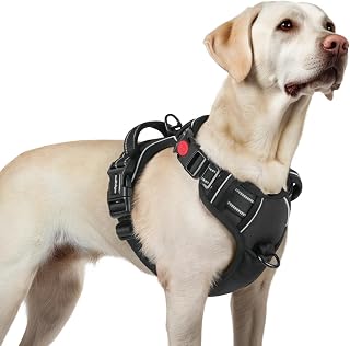 rabbitgoo Medium Dog Harness with 3 Buckles, Neck Release, Adjustable Dog Harness with Handle and Front Clip, Reflective Anti-Pull Harness for Dogs Training Running, Black, L
