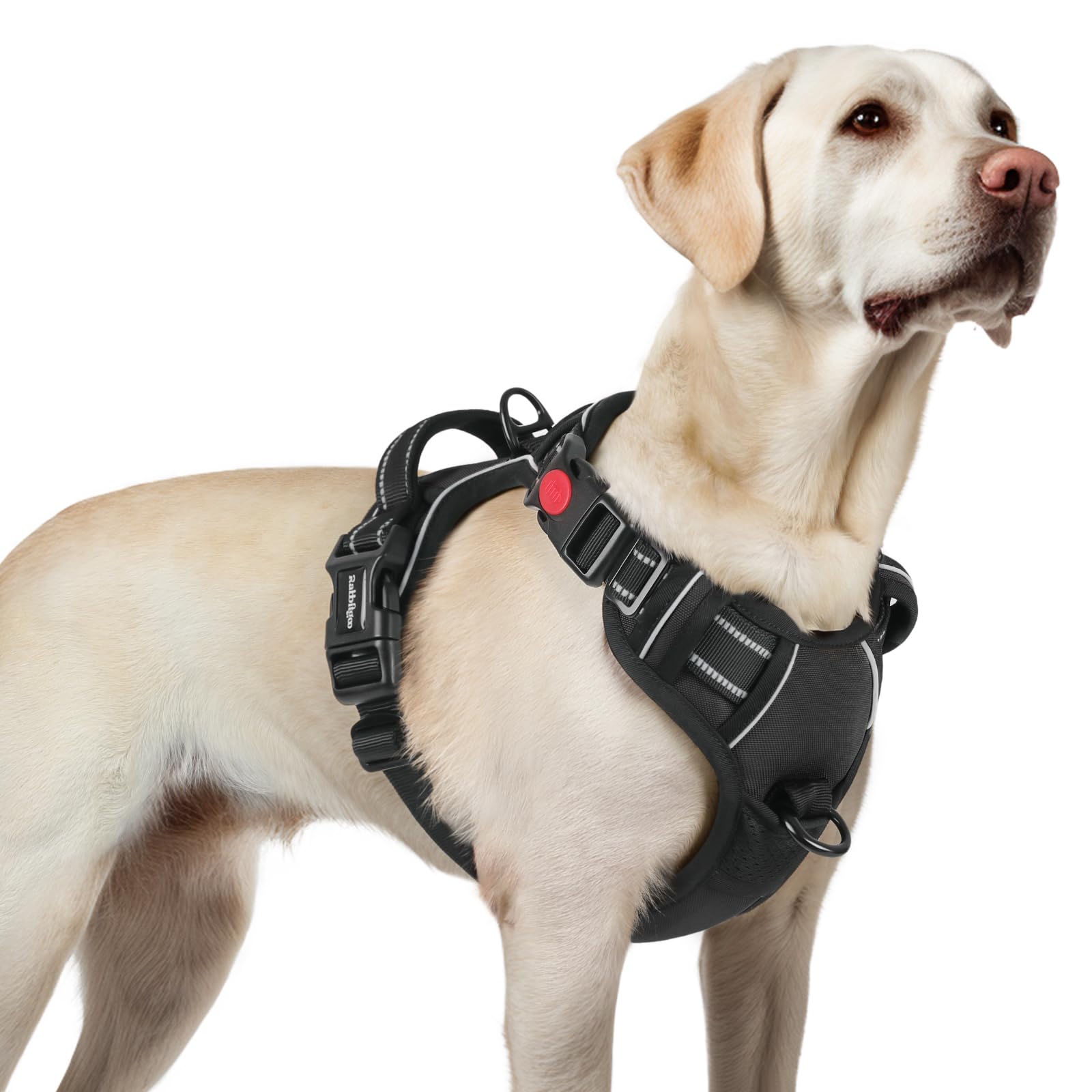 rabbitgoo Medium Dog Harness with 3 Buckles, Neck Release, Adjustable Dog Harnes