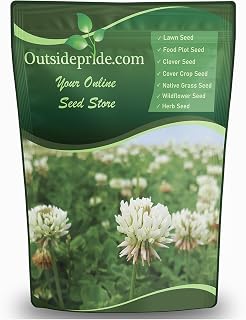 Outsidepride Perennial White Dutch Clover Seed - 2 lbs. Nitrocoated, Inoculated Clover Seeds for Lawn Alternative, Erosion Control, Food Plots, Ground Cover, & Pasture Mixtures in USDA Zones 3-10