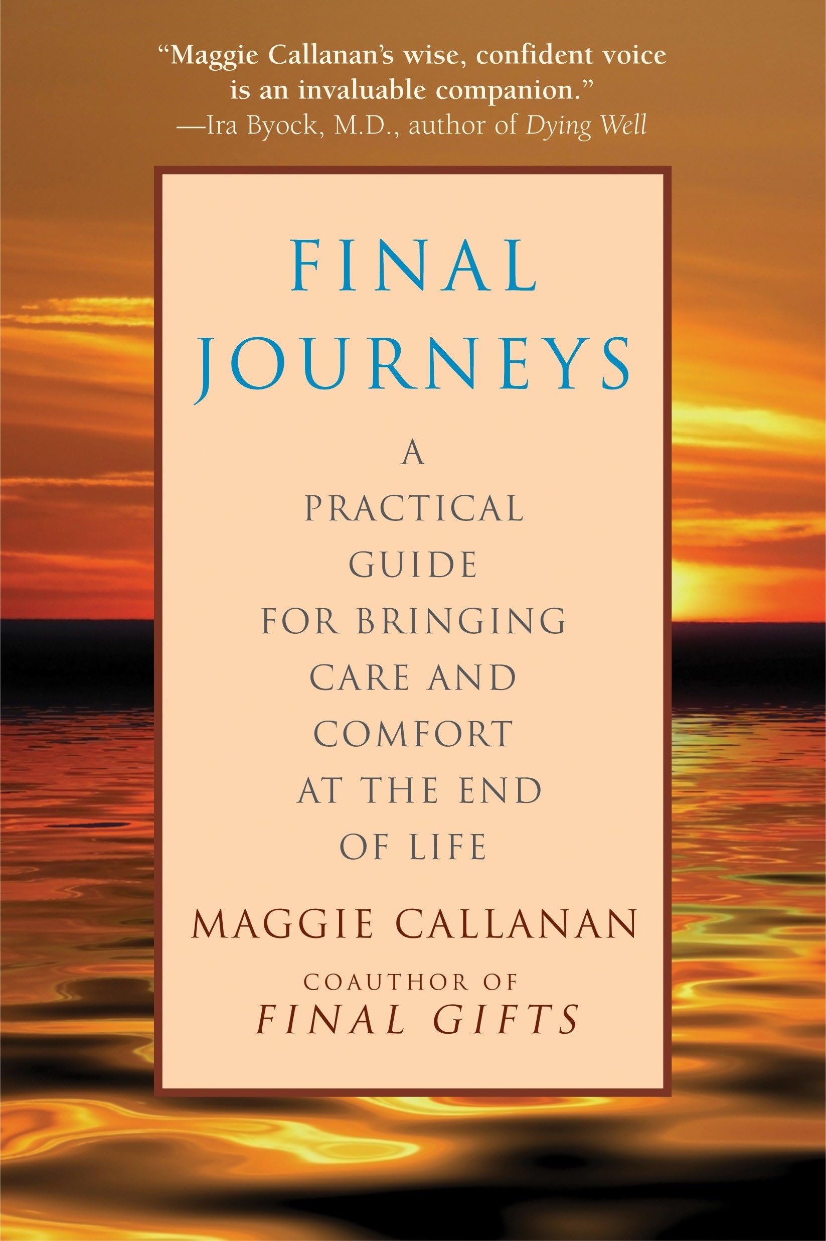 Final Journeys: A Practical Guide for Bringing Care and Comfort at the End of Li