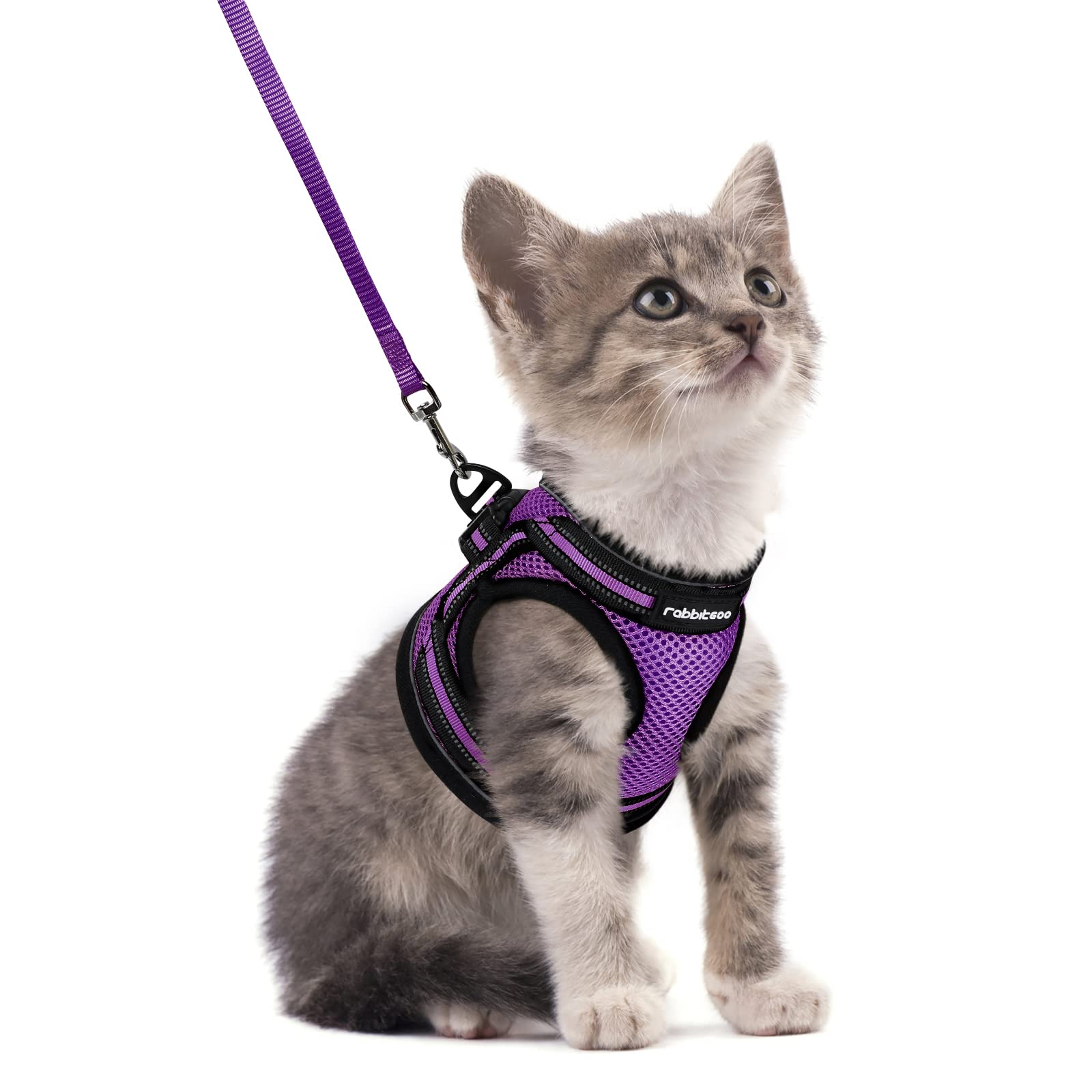 rabbitgoo Cat Harness and Leash Set, Step-in Soft Vest, Purple | Escape Proof, L