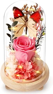 Forever Flowers Preserved Roses Prime Delivery, Gifts with Light in Glass Dome for Mom Grandma Wife Girlfriend, Pink Flower for Christmas, Valentine's Day, Anniversary.Birthday