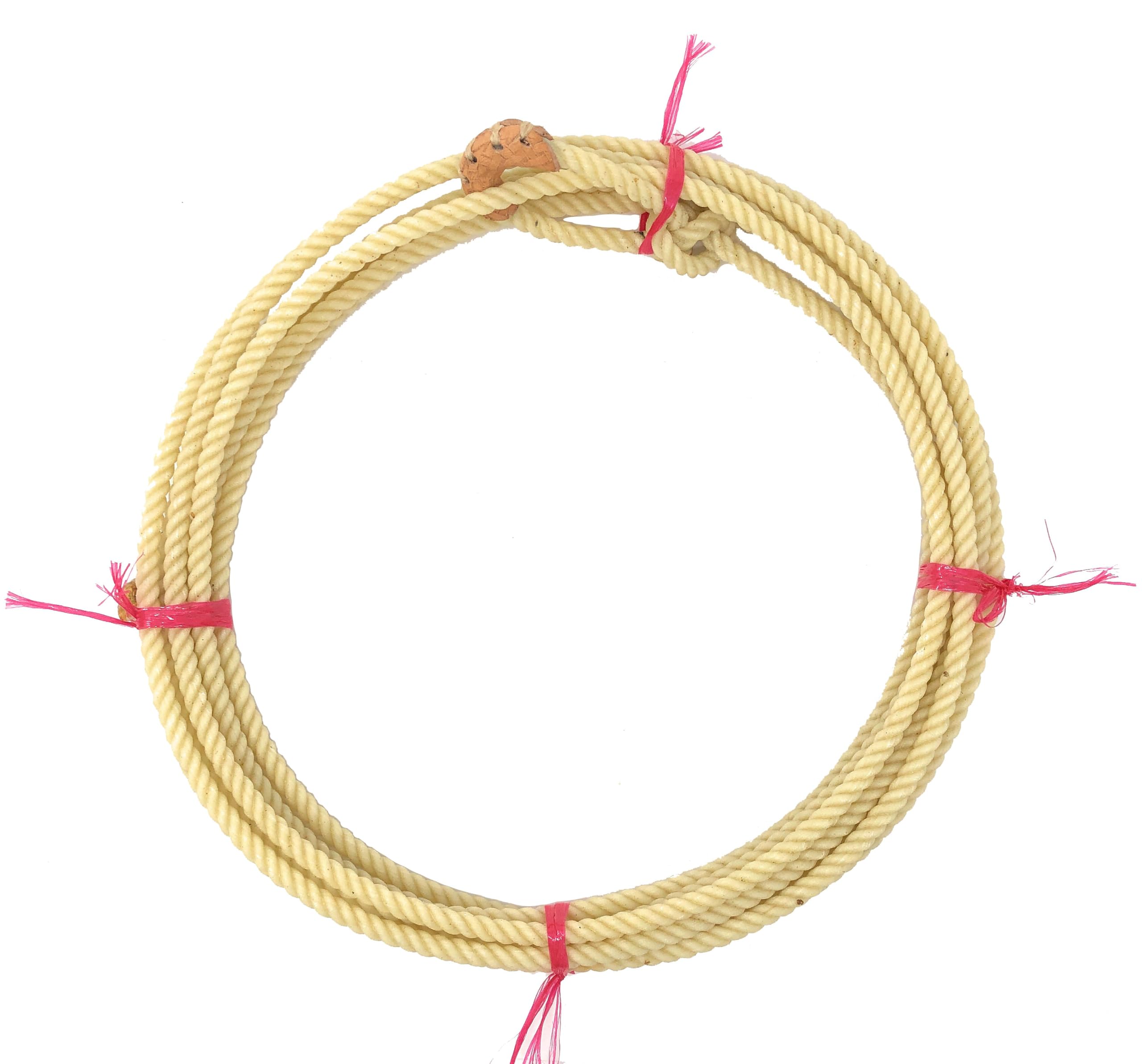 AJ Tack Wholesale Supreme Western Kid's Rodeo 20' Lariat Rope with Leather Burne