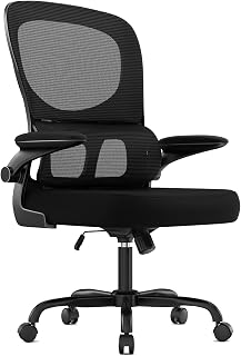 Naspaluro Ergonomic Office Chair with Lumbar Support, 110 kg